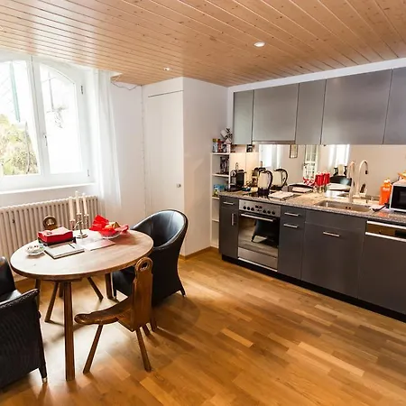 Luxury Justingerweg Apartament Berno