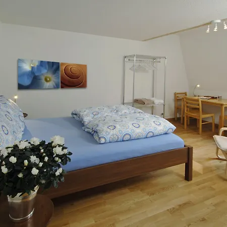 Luxury Justingerweg Berna